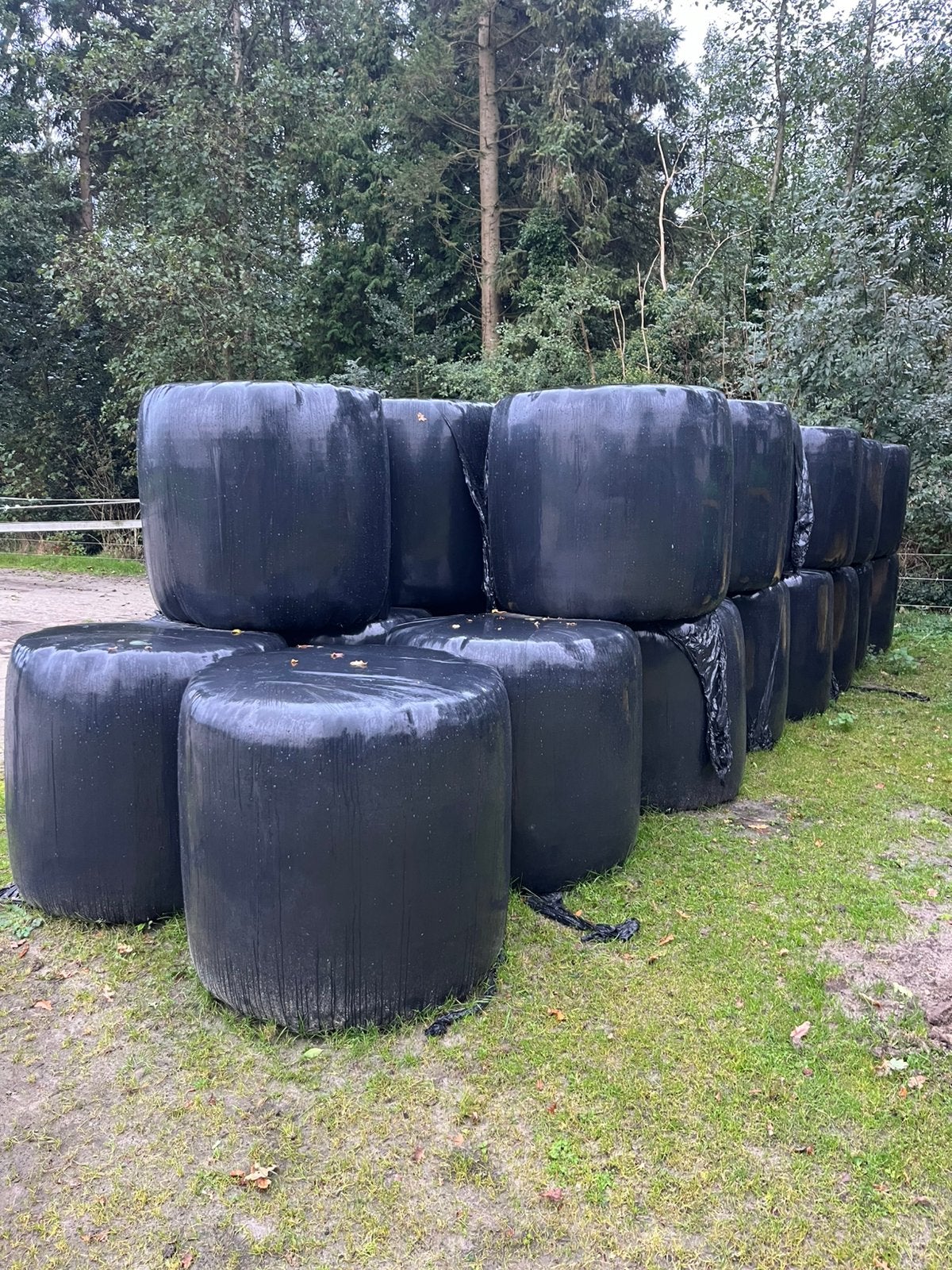 Midibalen, Dieren en Toebehoren, Ophalen, Vee