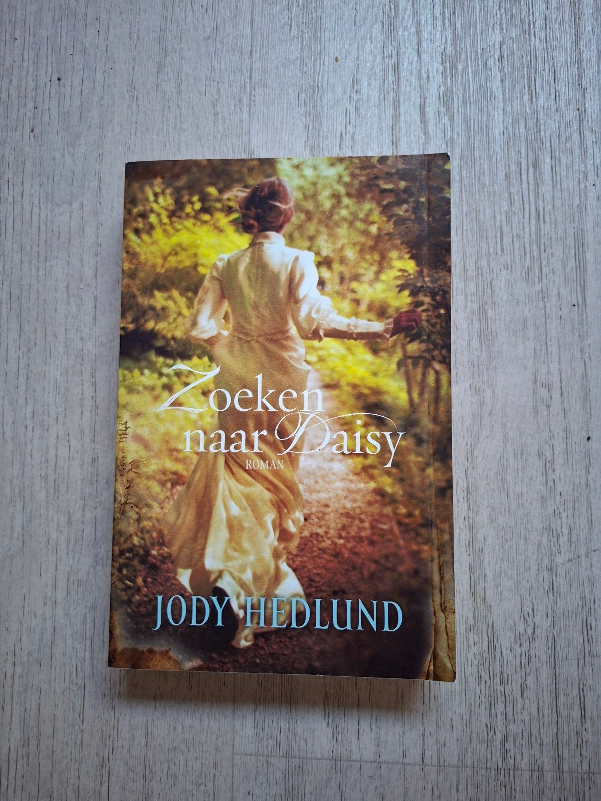 Zoeken naar Daisy, Boeken, Ophalen of Verzenden, Zo goed als nieuw, Jody Hedlund, Amerika