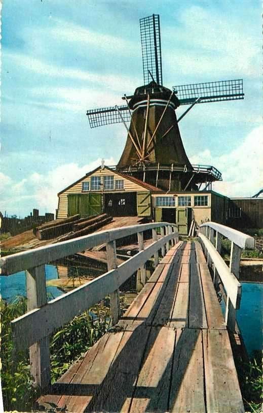 380-080-029 Leiden Houtzaagmolen De Herder, Verzenden, Voor 1920, Zuid-Holland