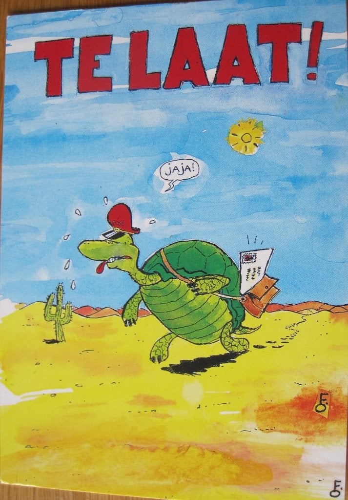 Boomerang - te laat kaart met schildpad - nieuw, Verzenden, 1980 tot heden, Ongelopen, Overige thema's