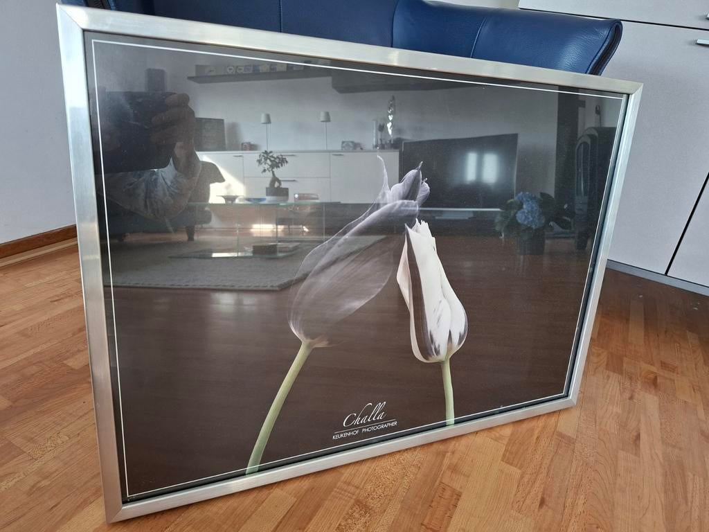 Ikea Ribba lijst zilver, Ophalen, 50 tot 75 cm, Zo goed als nieuw, 50 tot 75 cm