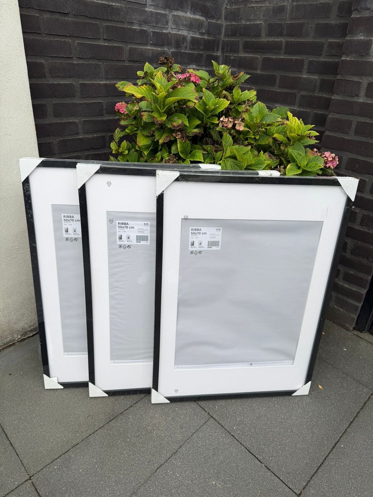 3x IKEA RIBBA fotolijst 50x70 cm - Zwart, Ophalen, Nieuw, Fotolijst, Met glas