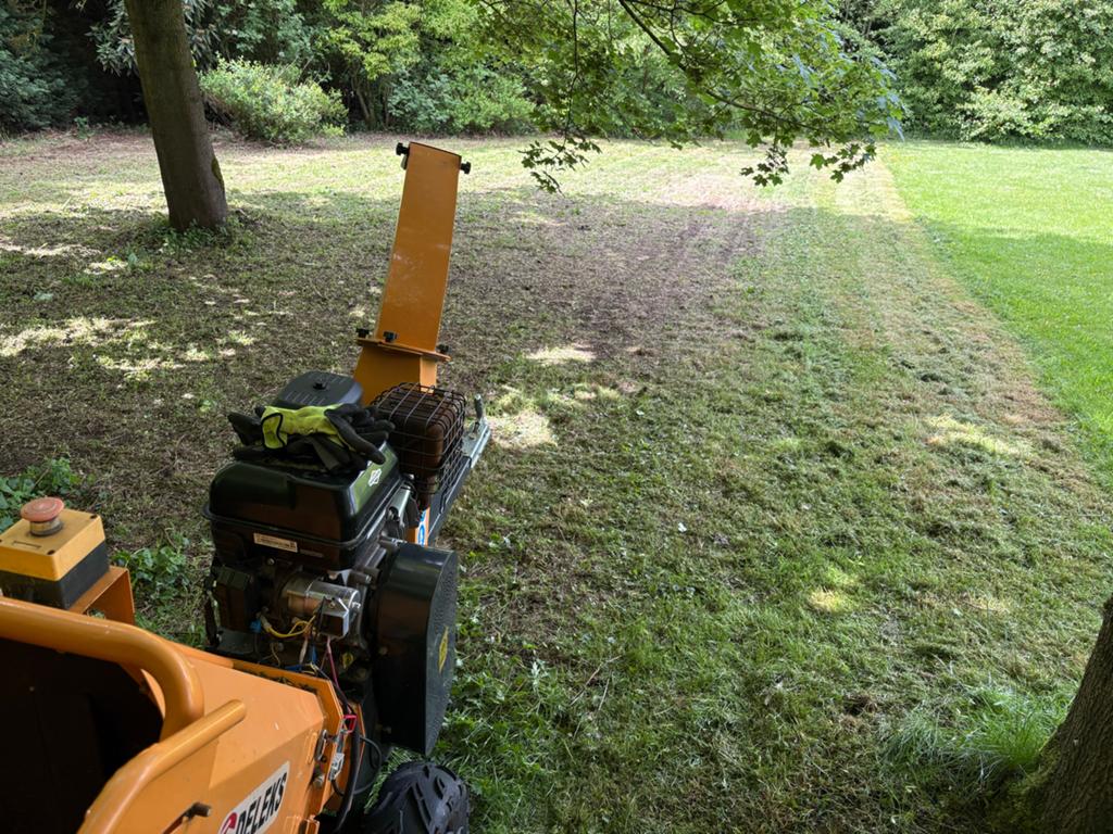 Betrouwbare Tuinman Beschikbaar voor onderhoud/snoeien
