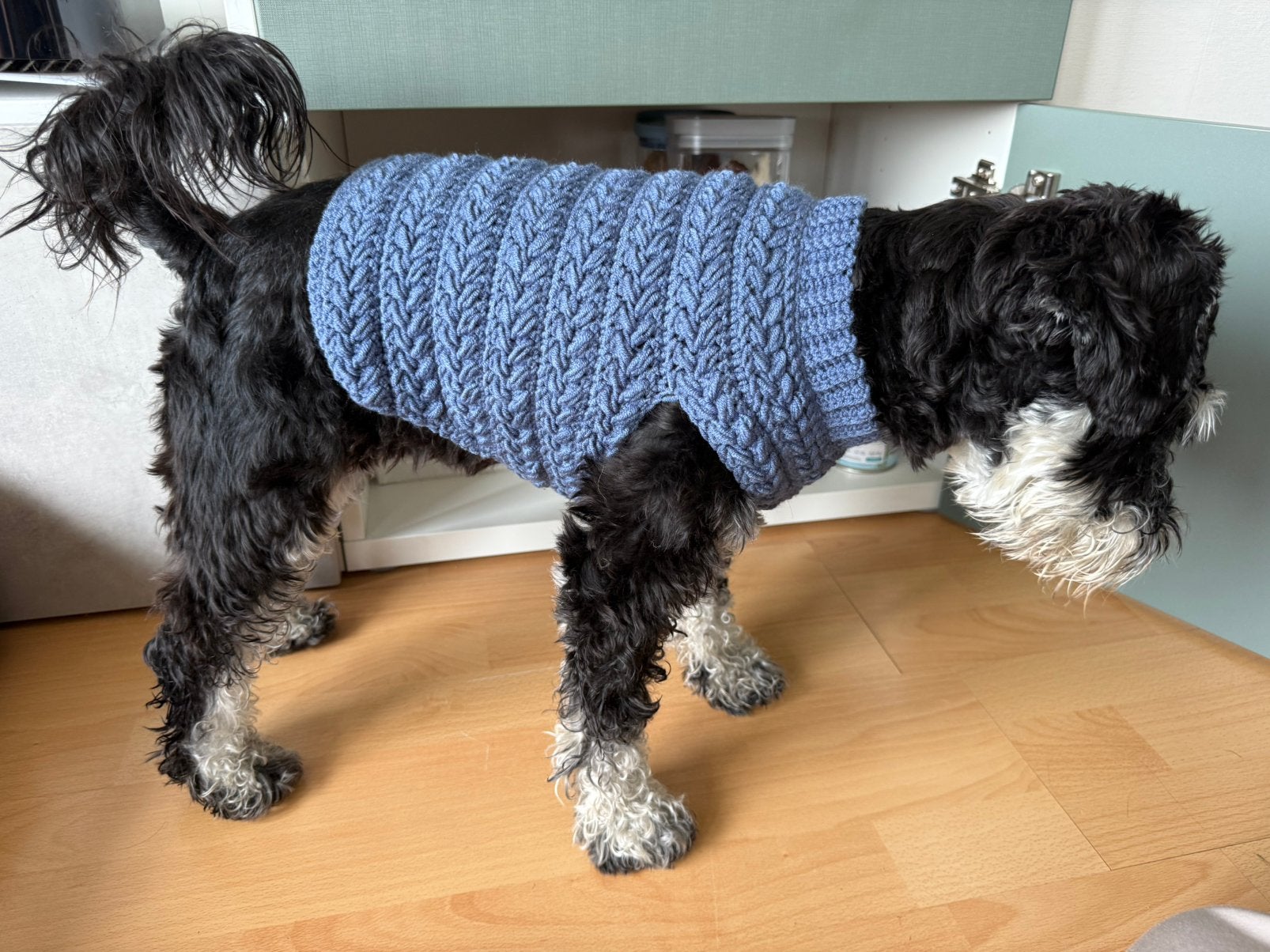 Honden truitje, Dieren en Toebehoren, Overige merken, Nieuw, Ophalen of Verzenden, Ademend