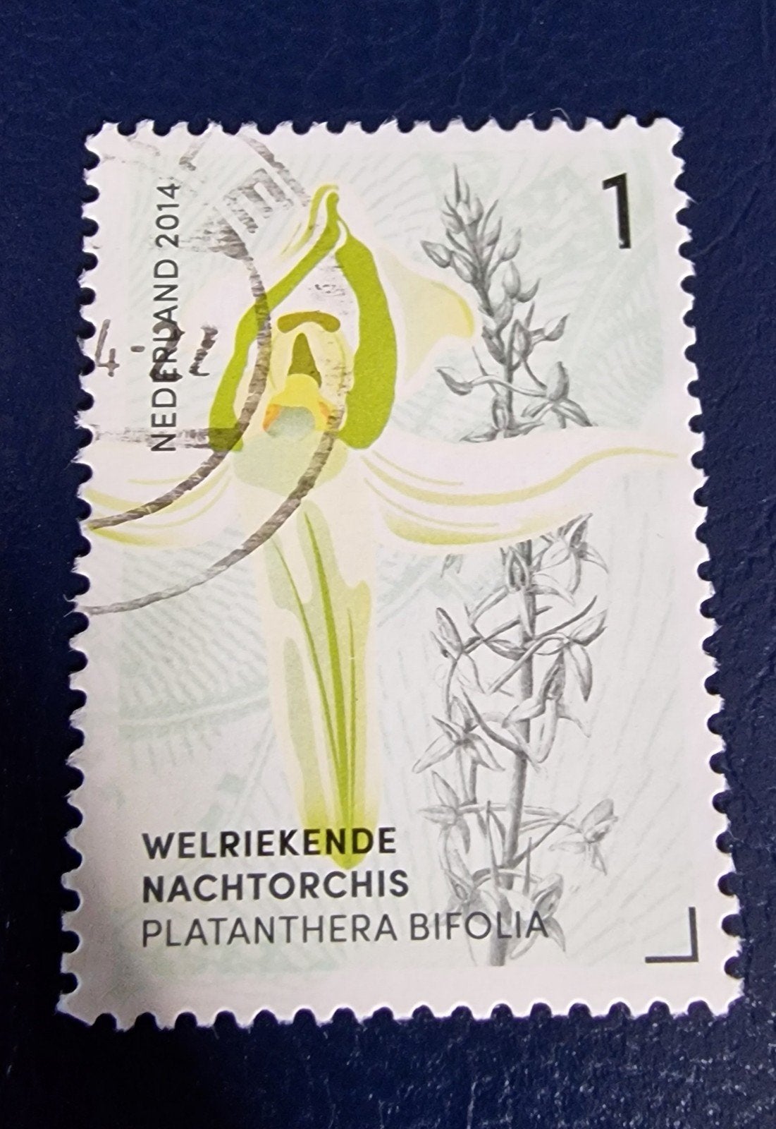 kv709 - 2014 orchidee nvph 3181, Verzenden, Na 1940, Gestempeld