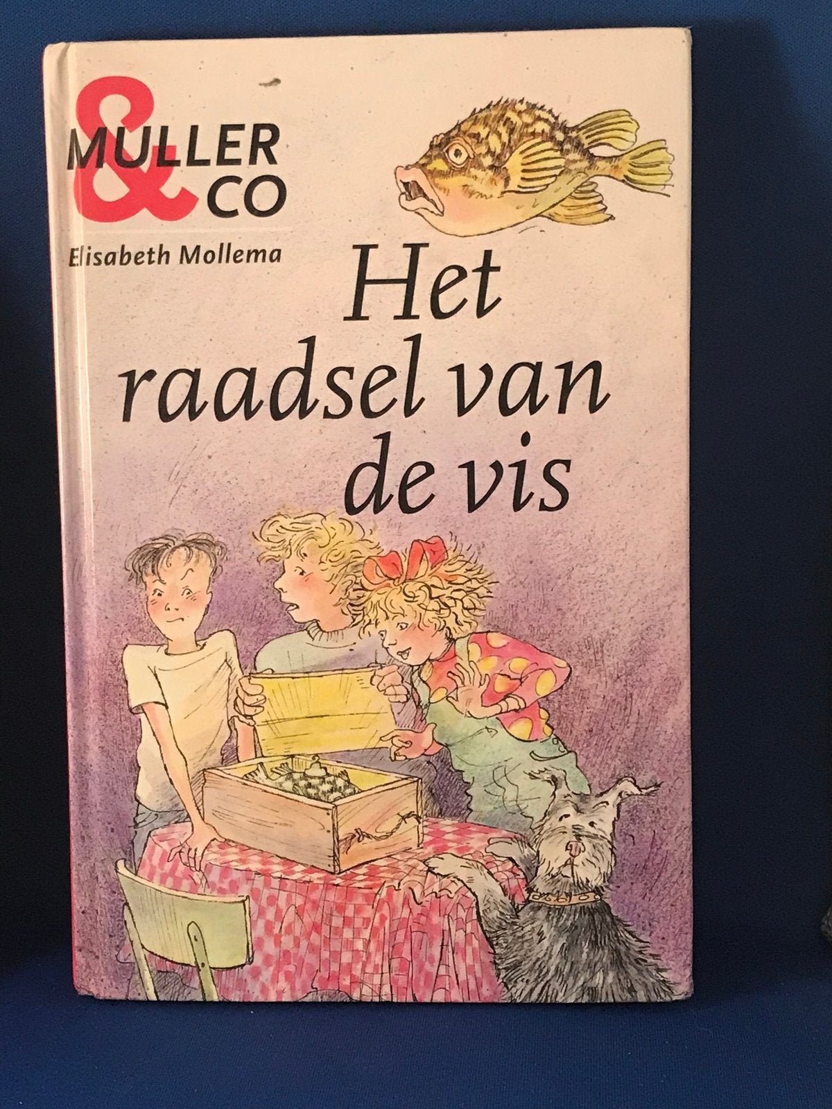 Het raadsel van de vis - Elisabeth Mollema, Ophalen, Zo goed als nieuw, Fictie algemeen
