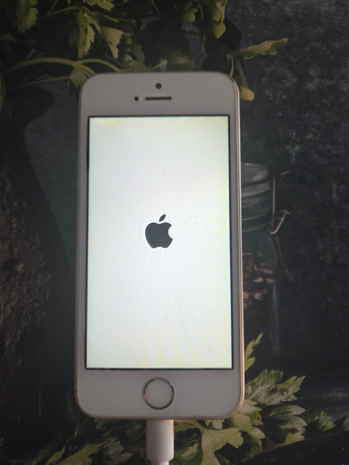 Iphone SE (2016), Telecommunicatie, Mobiele telefoons | Apple iPhone, Gebruikt, 32 GB, Zonder abonnement, Met simlock, Overige modellen