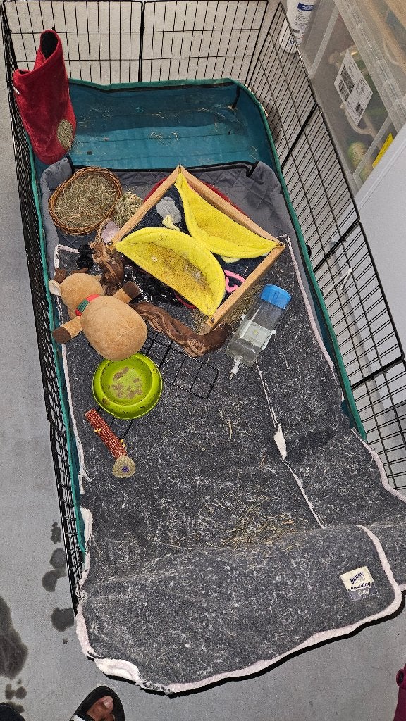 Cavia hokje, Minder dan 60 cm, Kooi, 110 cm of meer, Ophalen of Verzenden