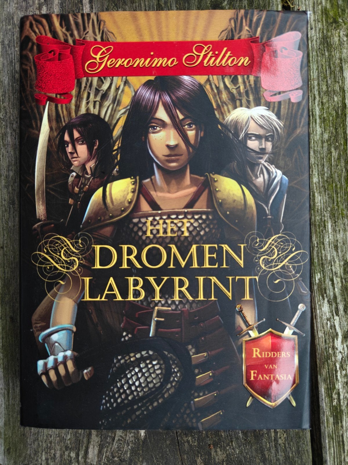 Het dromen Labyrint., Ophalen of Verzenden, Zo goed als nieuw