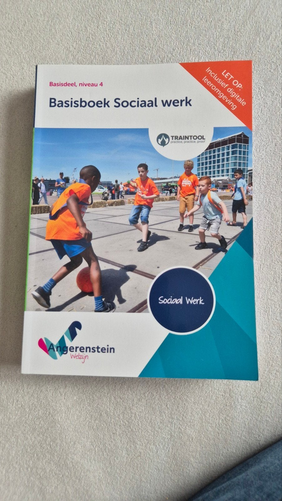 Basisboek Sociaal werk - Inclusief digitale leeromgeving, Boeken, Studieboeken en Cursussen, Zo goed als nieuw, MBO, Gamma, Boomberoepsonderwijs