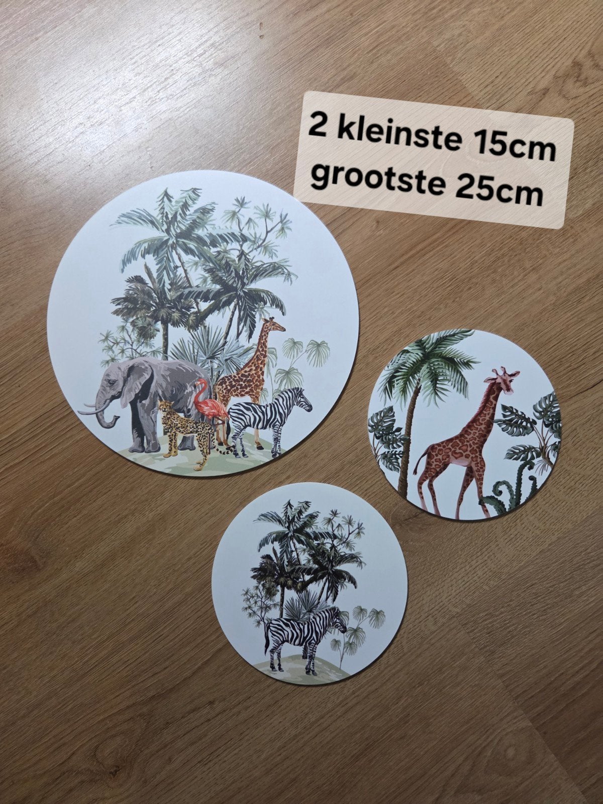 Leuke Jungle Muurcirkels - 2x 15cm, 1x 25cm, Huis en Inrichting, Woonaccessoires | Wanddecoraties, Ophalen of Verzenden, Gebruikt