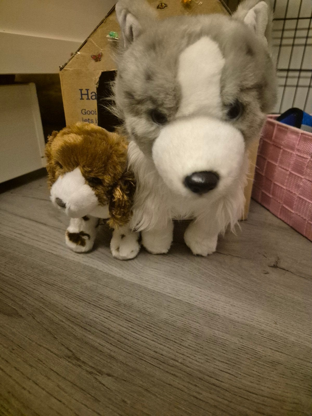 Set van 2 knuffelhonden: Douglas en Temu, Ophalen, Overige merken, Hond, Zo goed als nieuw