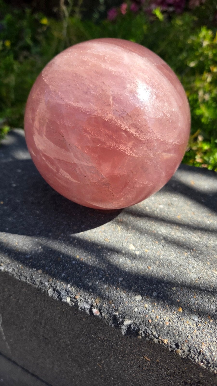 AA rozenkwarts bol groot, Ophalen of Verzenden