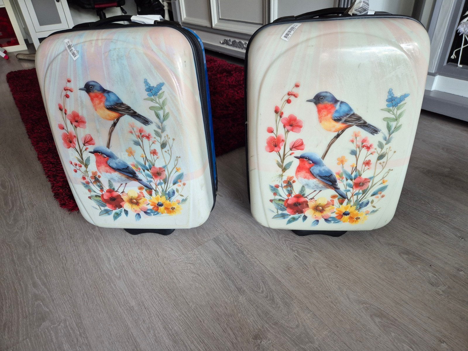 Set van 2 Handbagage Koffers met Bloemen en Vogels, Ophalen of Verzenden