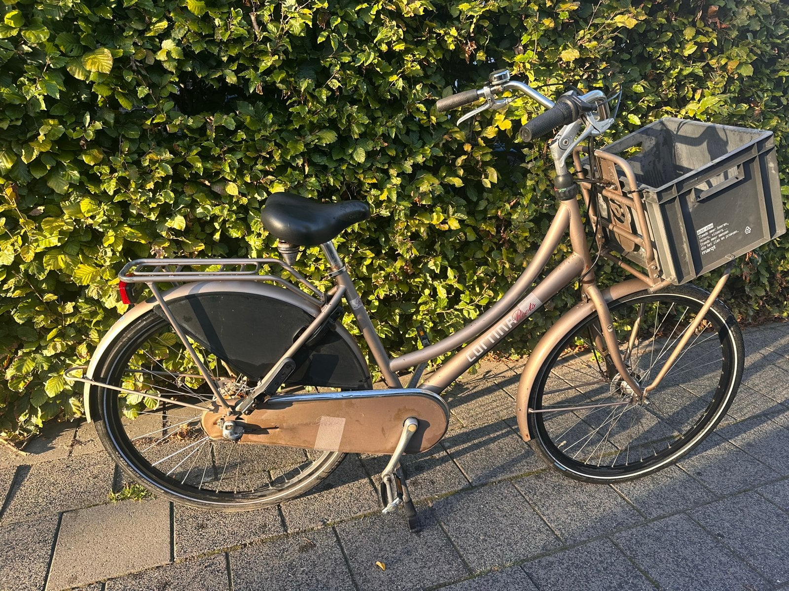 Cortina Roots Damesfiets met Voordrager en Mand, (Extra) lage instap, Trommelrem, Ophalen, Overige merken