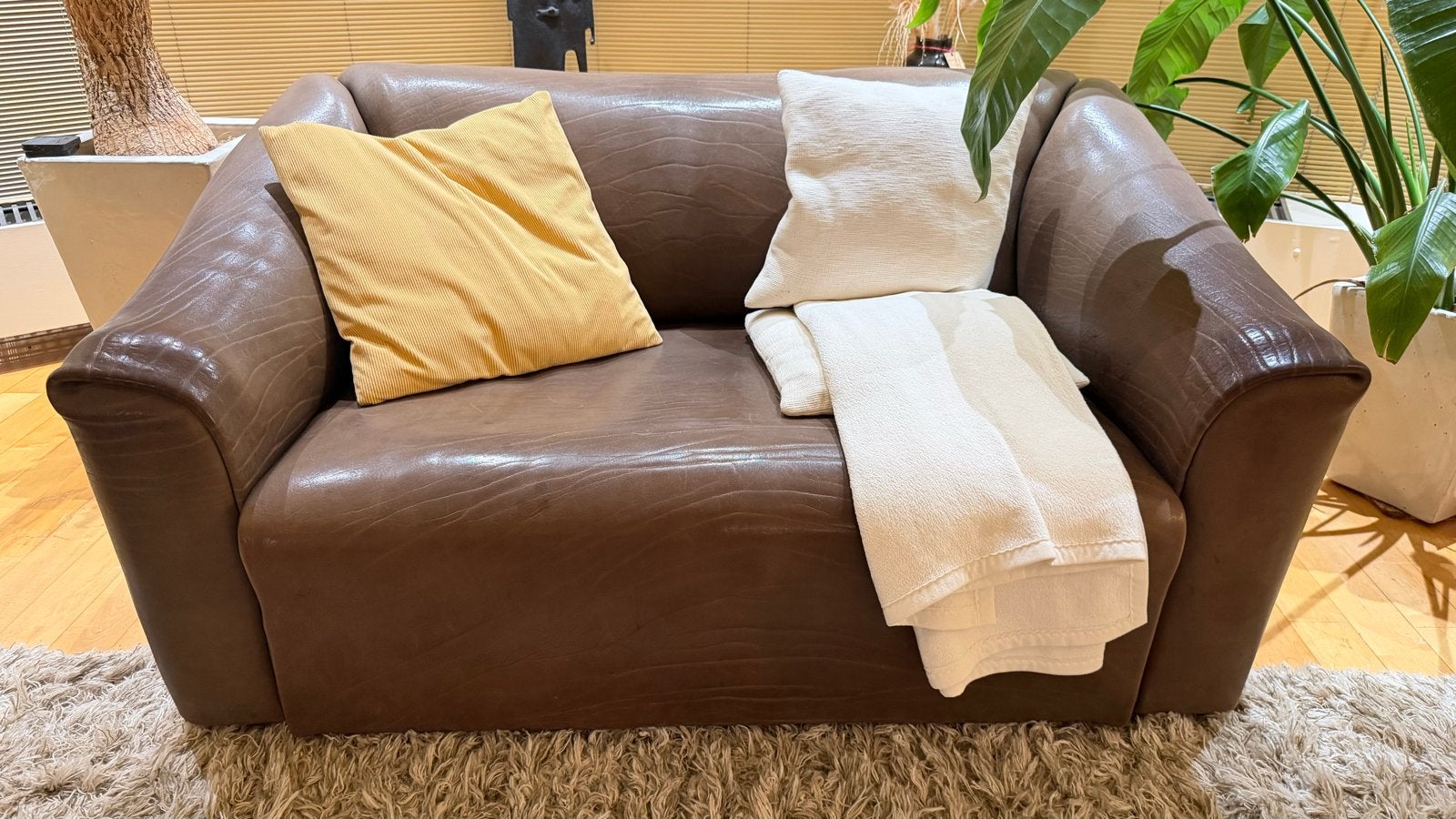 De Sede DS47 Bull, 2-zitsbank 5mm dik NECK-leer, Huis en Inrichting, Ophalen of Verzenden, Gebruikt, Leer, 100 tot 125 cm