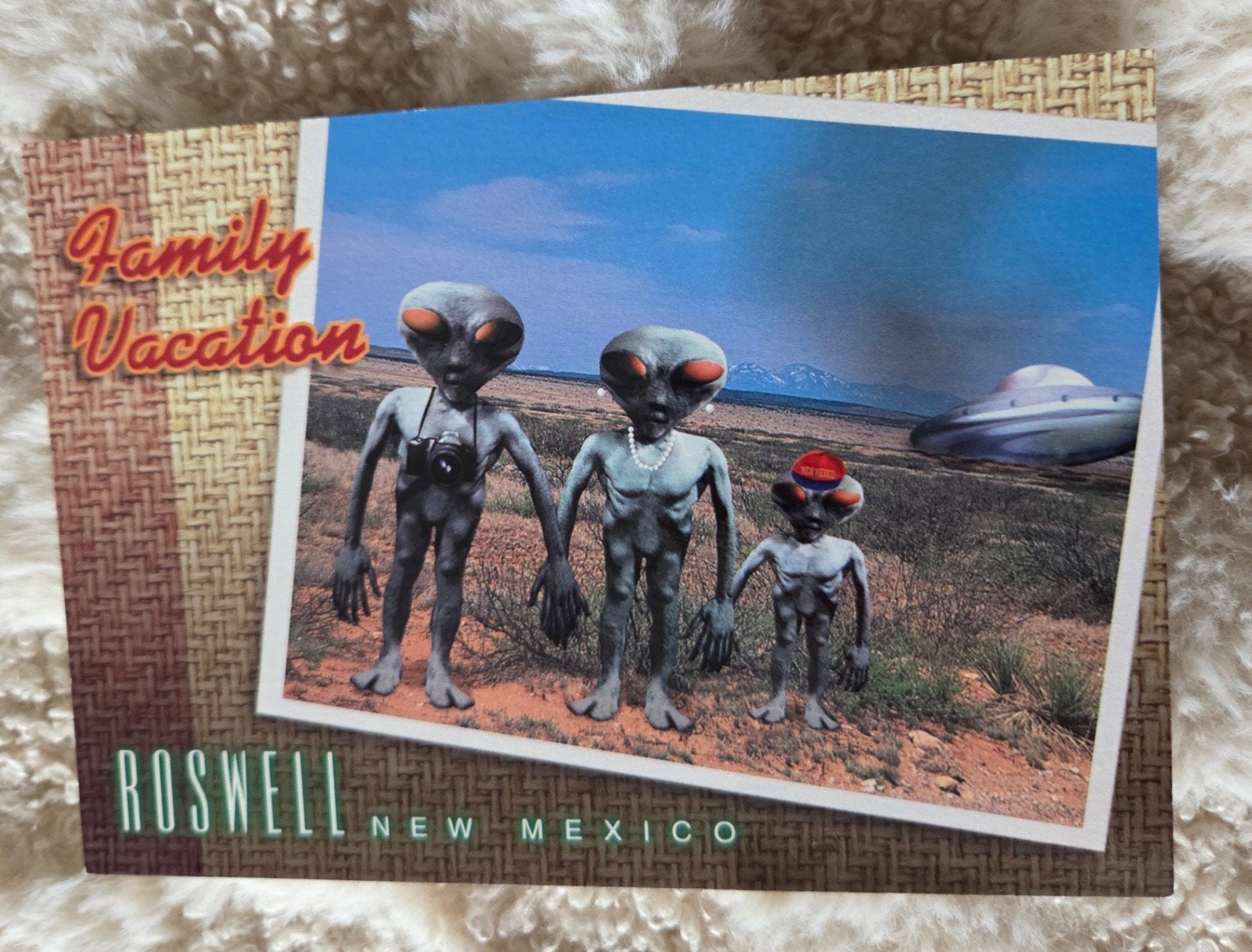 Roswell New Mexico - Family Vacation Aliens, Verzamelen, Verzenden, 1980 tot heden, Ongelopen, Overige thema's