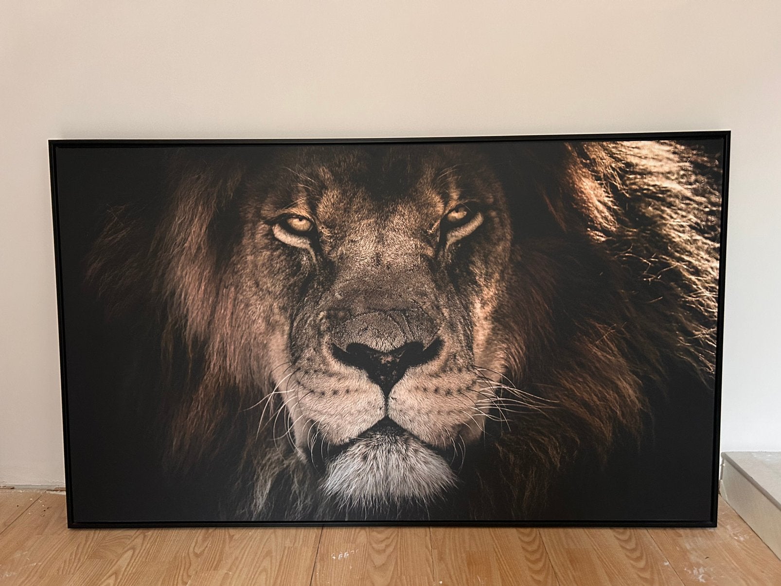 Schilderij Leeuw op doek 70x118, Huis en Inrichting, Ophalen, 50 – 75, Zo goed als nieuw, Schilderij