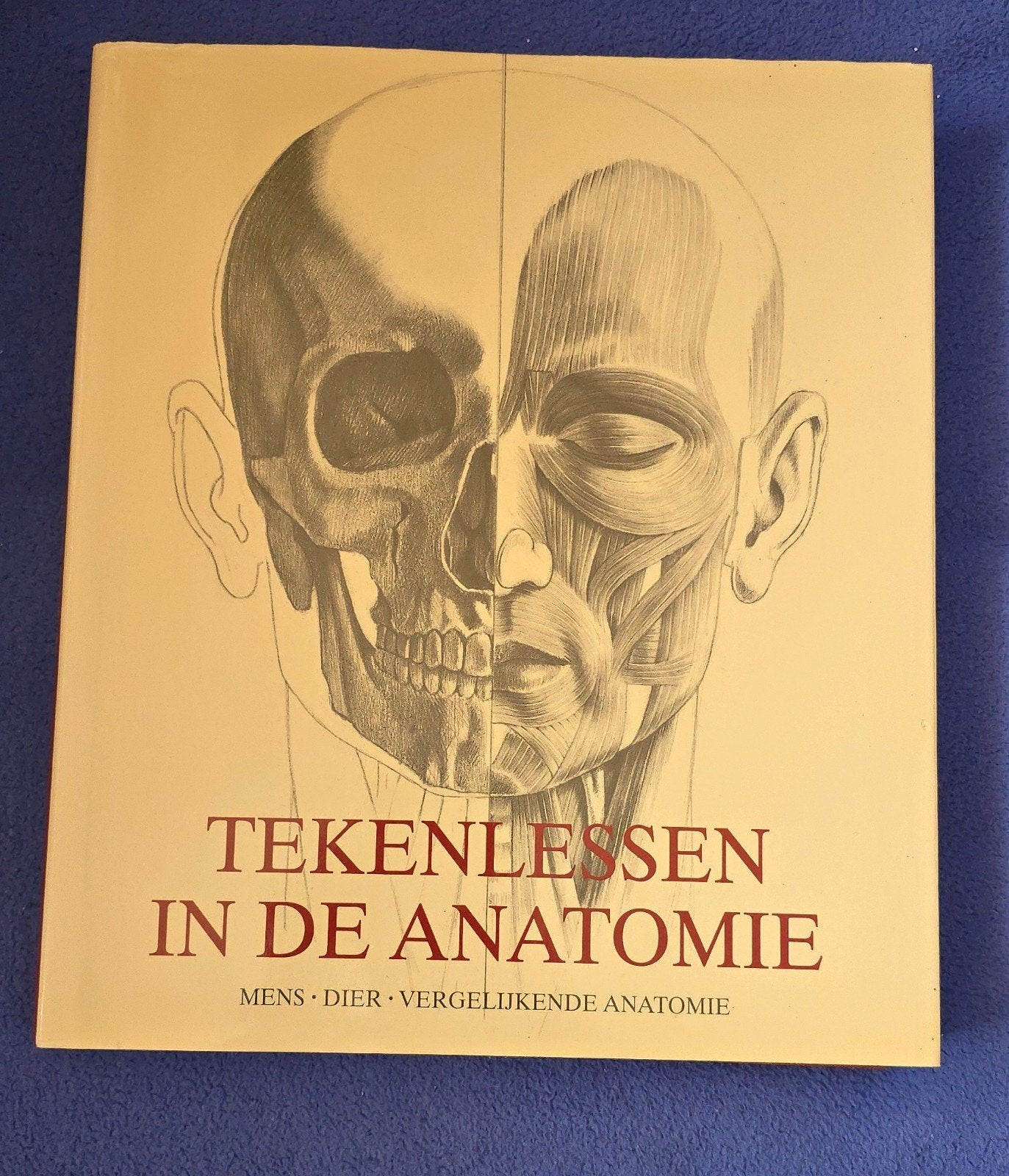 Tekenlessen in de anatomie mens en dier vergelijkende anatom, Boeken, Ophalen of Verzenden, Zo goed als nieuw, Tekenen en Schilderen