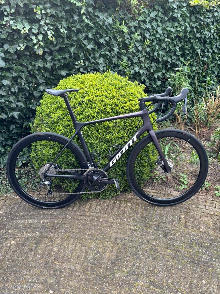 Giant TCR Advanced Pro 1 disc Rosewood/ Carbon M/L, Ophalen, Carbon, Giant, Zo goed als nieuw