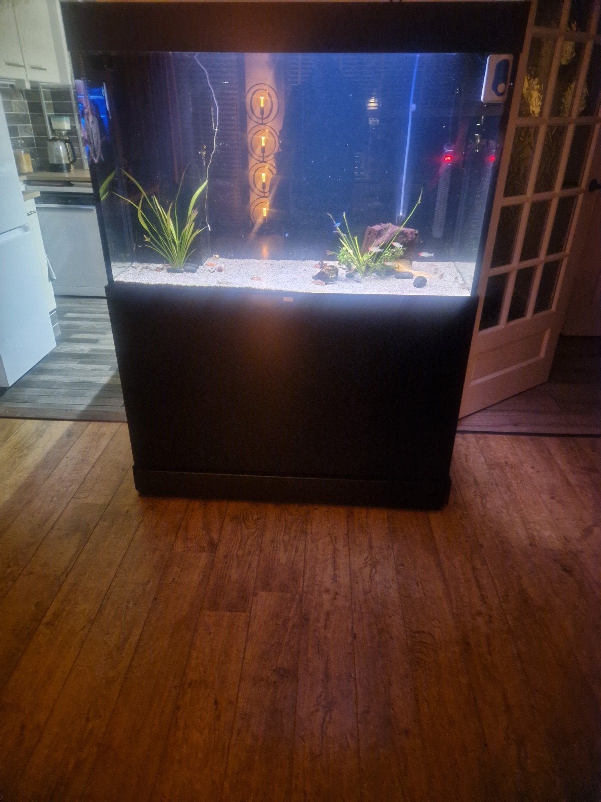 te koop zee aquarium  120x70x 50, Dieren en Toebehoren, Ophalen, Inclusief deksel, Aquariummeubel