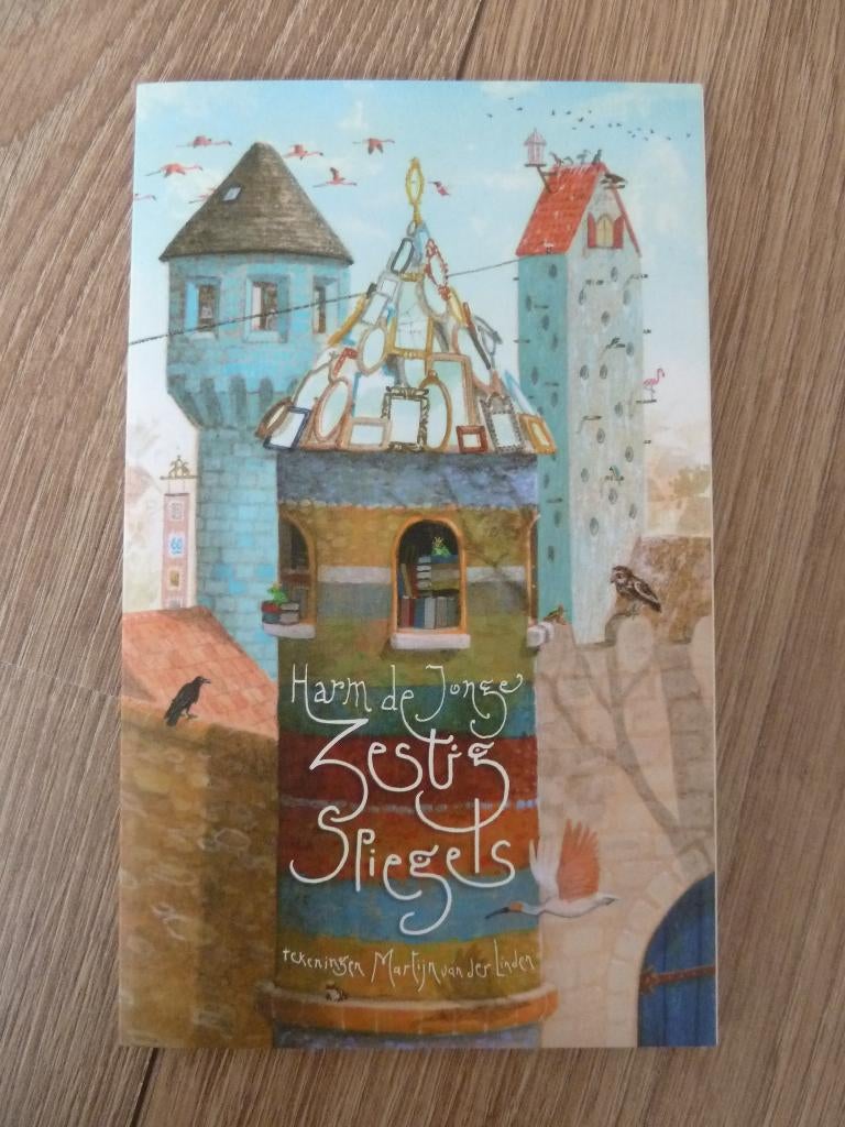 boek - zestig spiegels, Ophalen, Gelezen