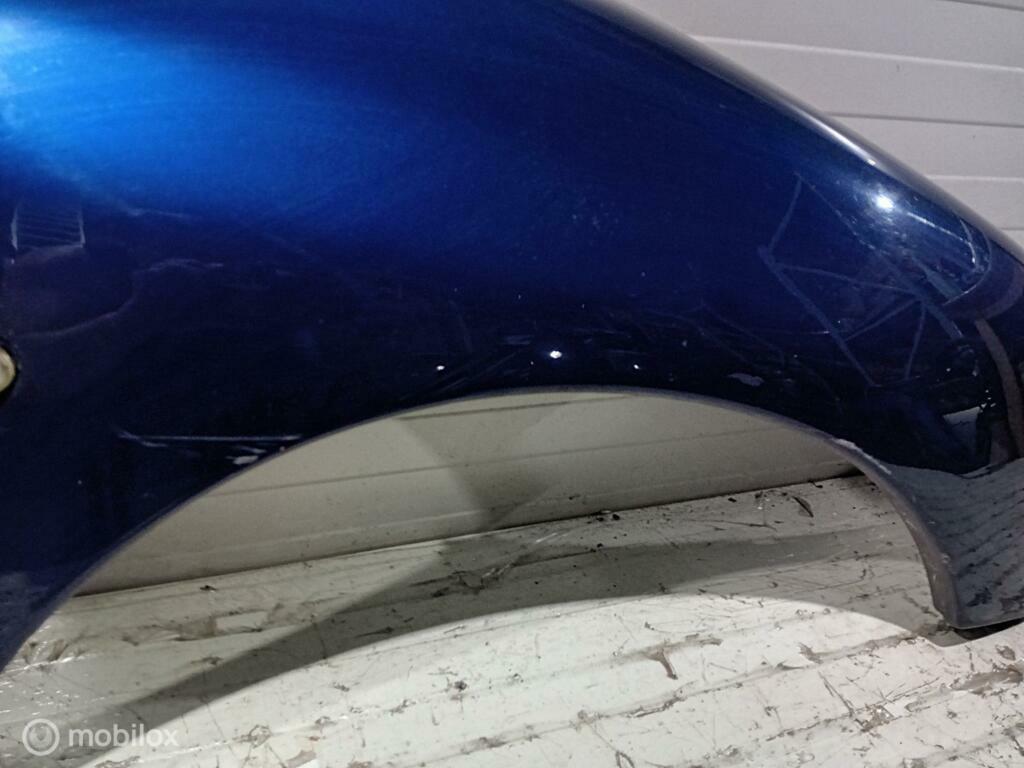 Spatscherm Peugeot 206, Auto-onderdelen, Ophalen of Verzenden, Gebruikt