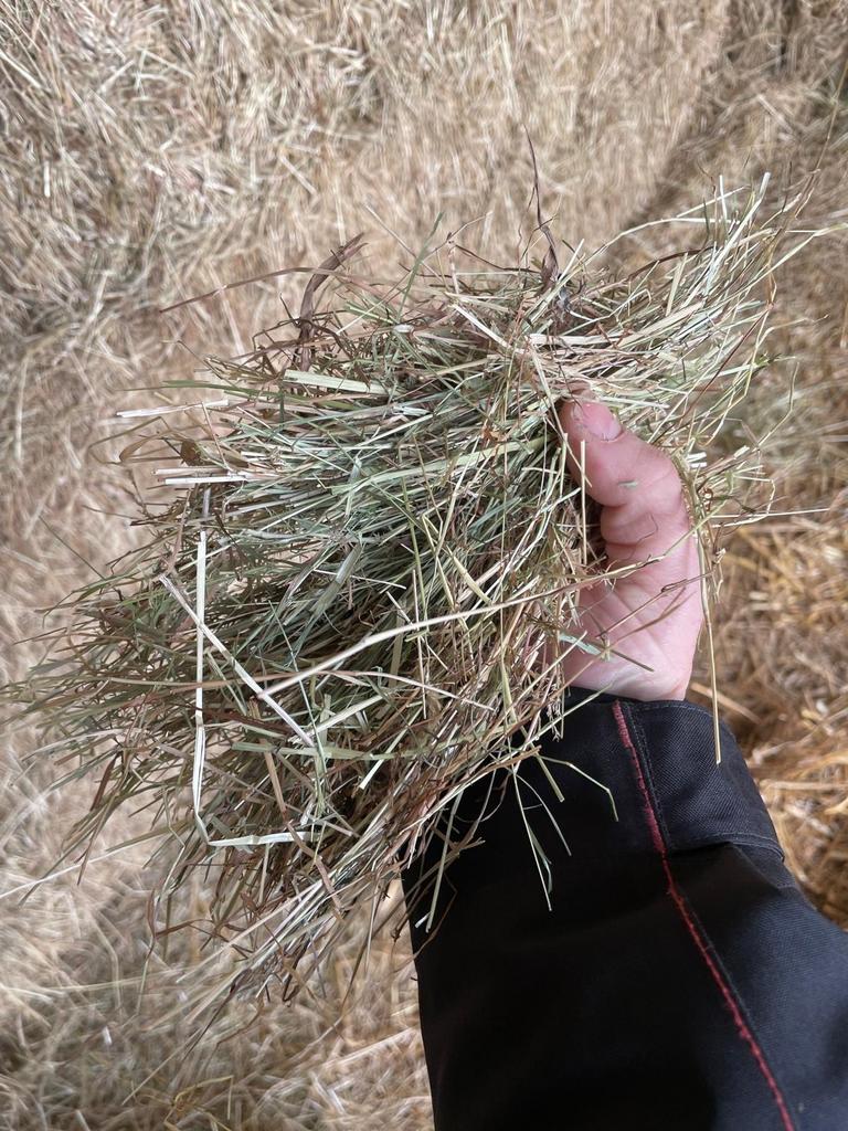 Kruidenhooi Paardenhooi Hooi grote balen Voordroog, Dieren en Toebehoren, Dierenvoeding, Ophalen, Overige soorten