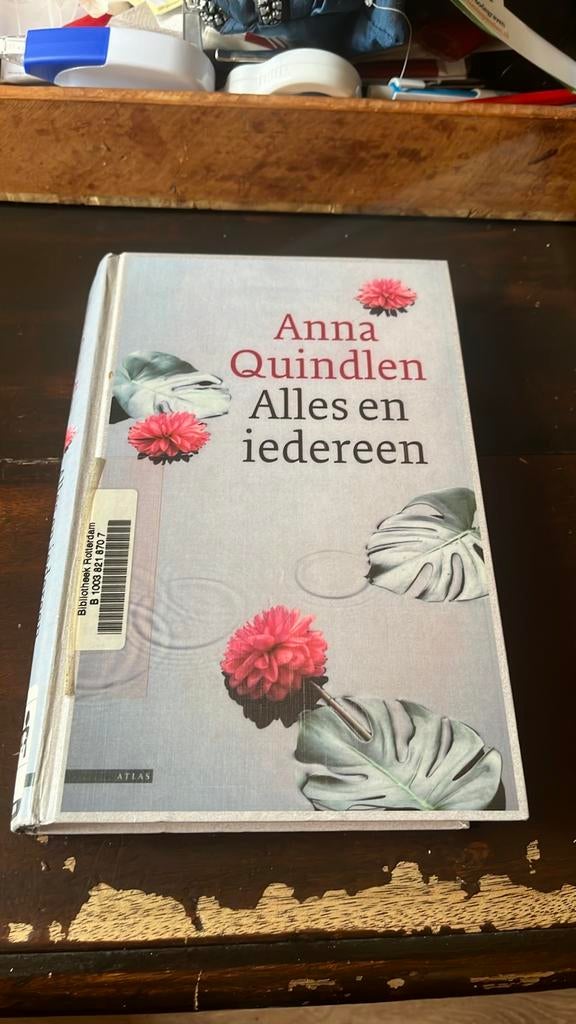 Alles en iedereen - Anna Quindlen, Ophalen of Verzenden, Gelezen, Nederland