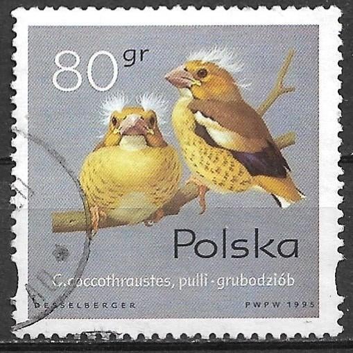 Polen 1995 mi.3570 vogels JONGE APPELVINKEN, Verzenden, Polen, Gestempeld