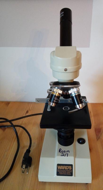 Ward microscoop, Audio, Tv en Foto, Optische apparatuur | Microscopen, Zo goed als nieuw, Biologische microscoop, 400x tot 1000x