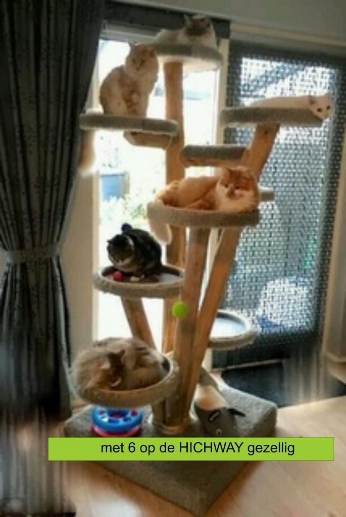 krabpalen van acatscastle natuurlijk goed, Dieren en Toebehoren, Ophalen of Verzenden, Nieuw, Krabpaal
