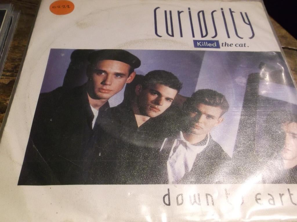 curiosity killed the cat 222, Gebruikt, 7 inch, Single, Ophalen of Verzenden