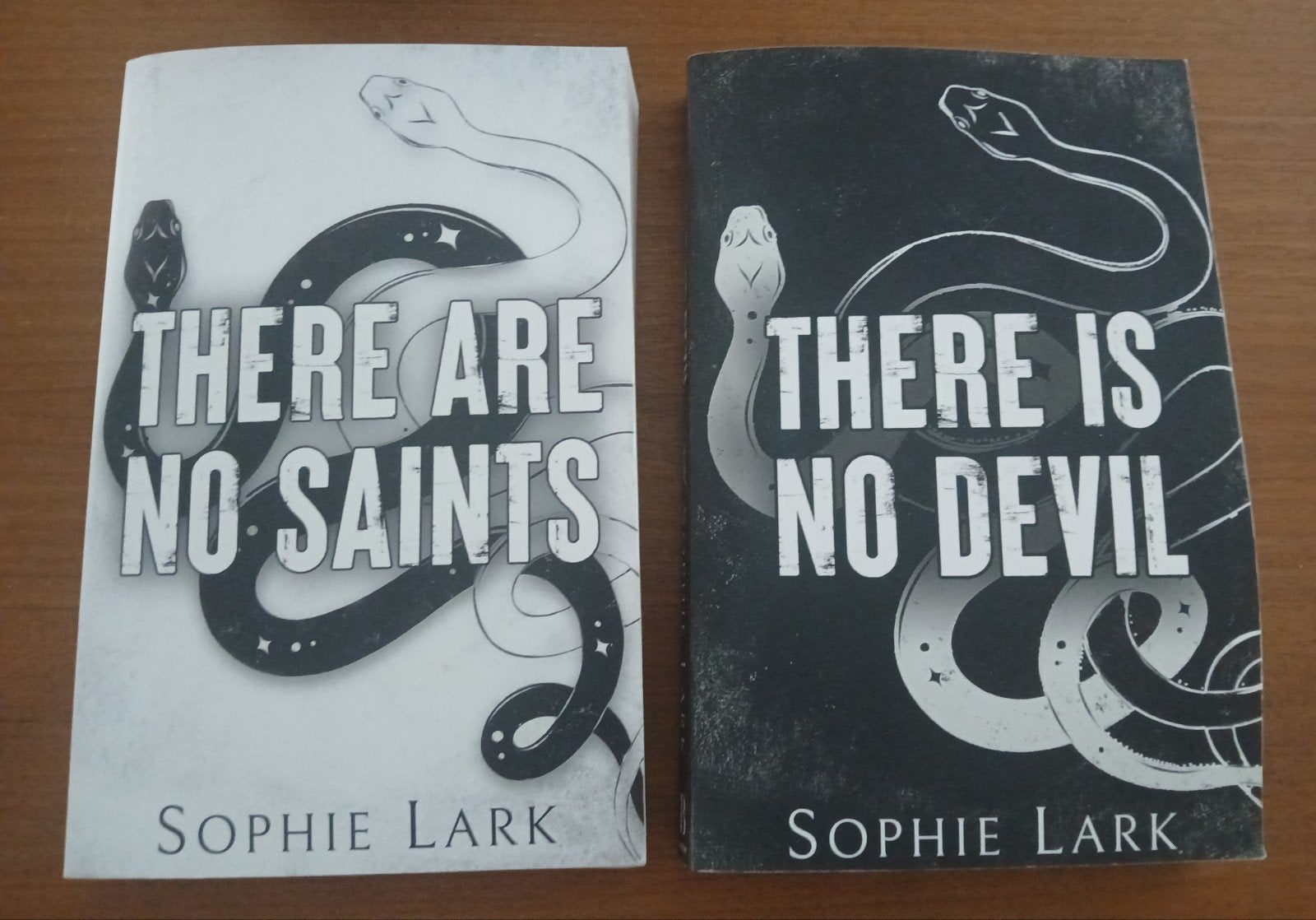 There are no saints en There is no devil, Ophalen of Verzenden, Nieuw, Sophie Lark, Wereld overig