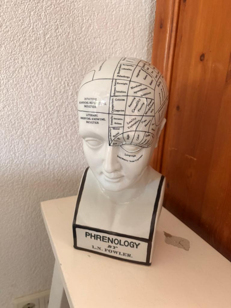 Phrenology hoofd/ buste, Ophalen