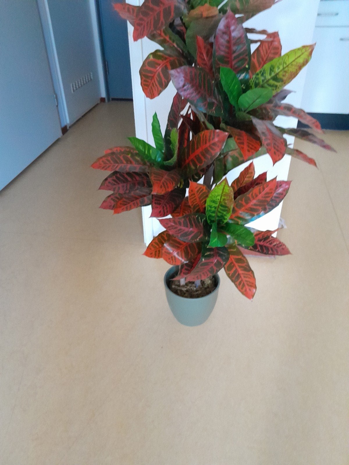 Prachtige Croton Kunstplant - Realistisch en Onderhoudsvrij, Binnen, Onderhoudsvrij, Kunstplant, Nieuw