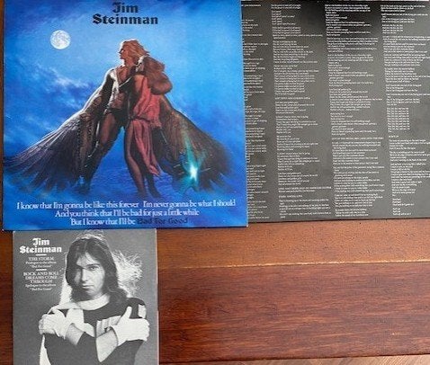 SteelyDan/JimSteinman/EricStewart/TanitaTikaram/SylvainSylva, Ophalen of Verzenden, Zo goed als nieuw, Overige formaten, Poprock