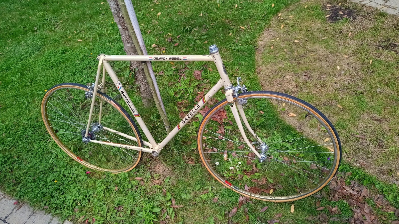Gazelle champion mondial, Ophalen, Jaren '60 of nieuwer, Velgrem, 55 tot 59 cm