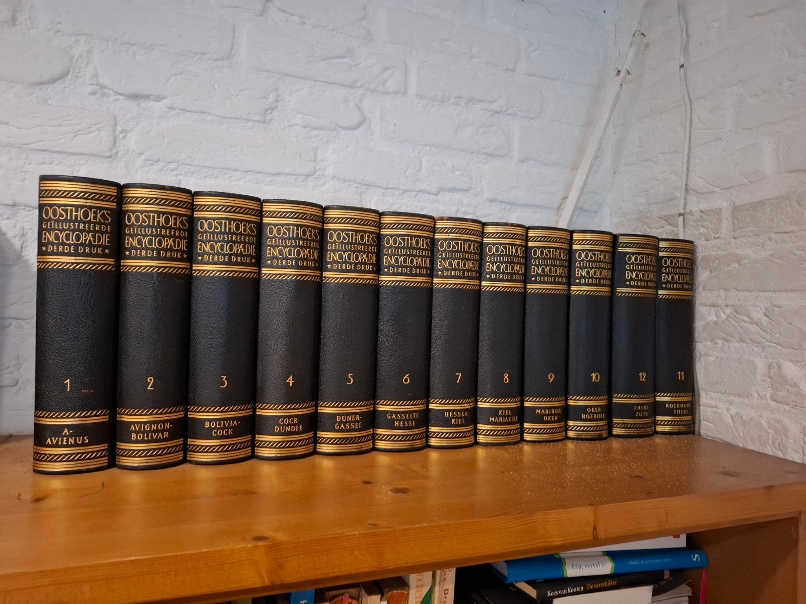 Oosthoeks Geïllustreerde Encyclopaedie - Complete Serie, Ophalen, Zo goed als nieuw, Algemeen, Complete serie