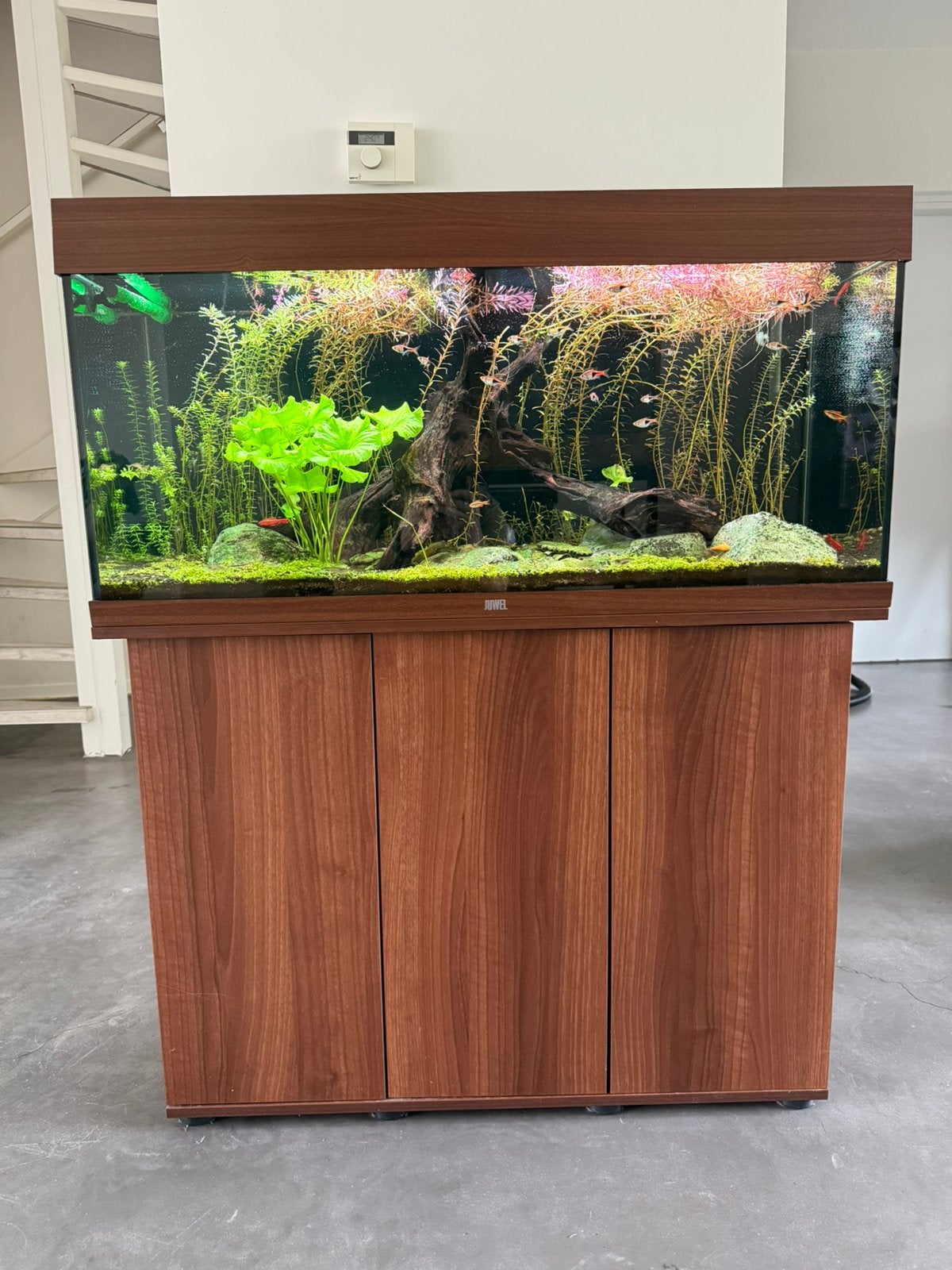 Juwel Rio 180, Dieren en Toebehoren, Vissen | Aquaria en Toebehoren, Ophalen, Gevuld zoetwateraquarium