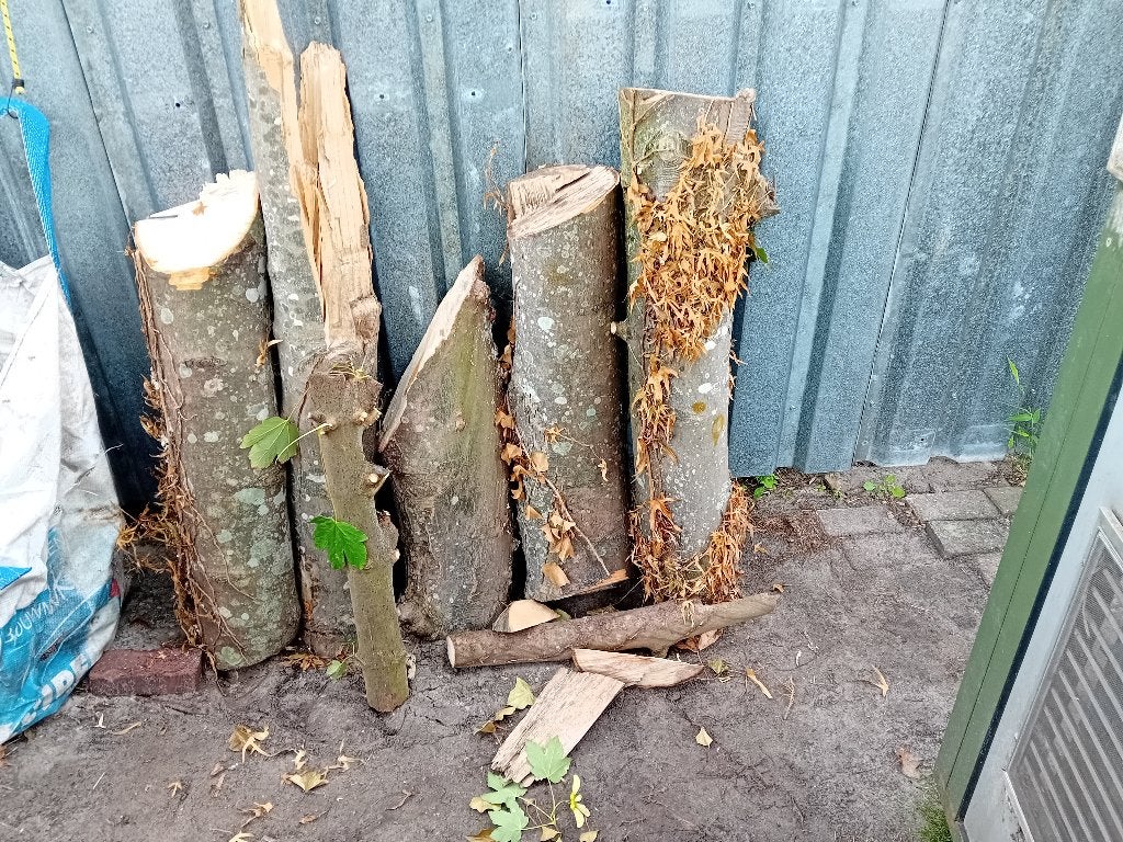 Diverse houtblokken en stammen, 3 tot 6 m³, Ophalen, Essenhout, Stammen