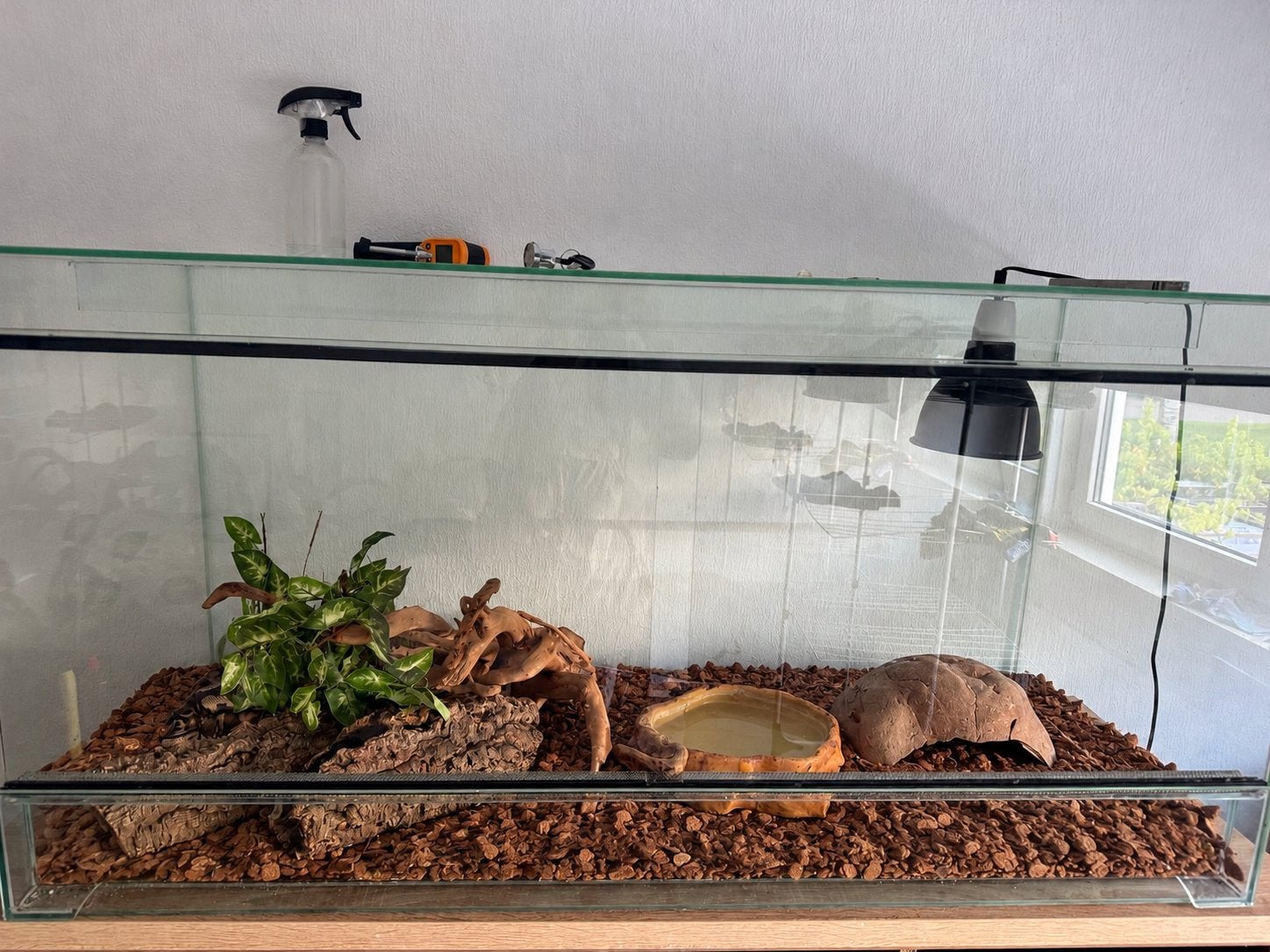 Slang en terrarium, Dieren en Toebehoren
