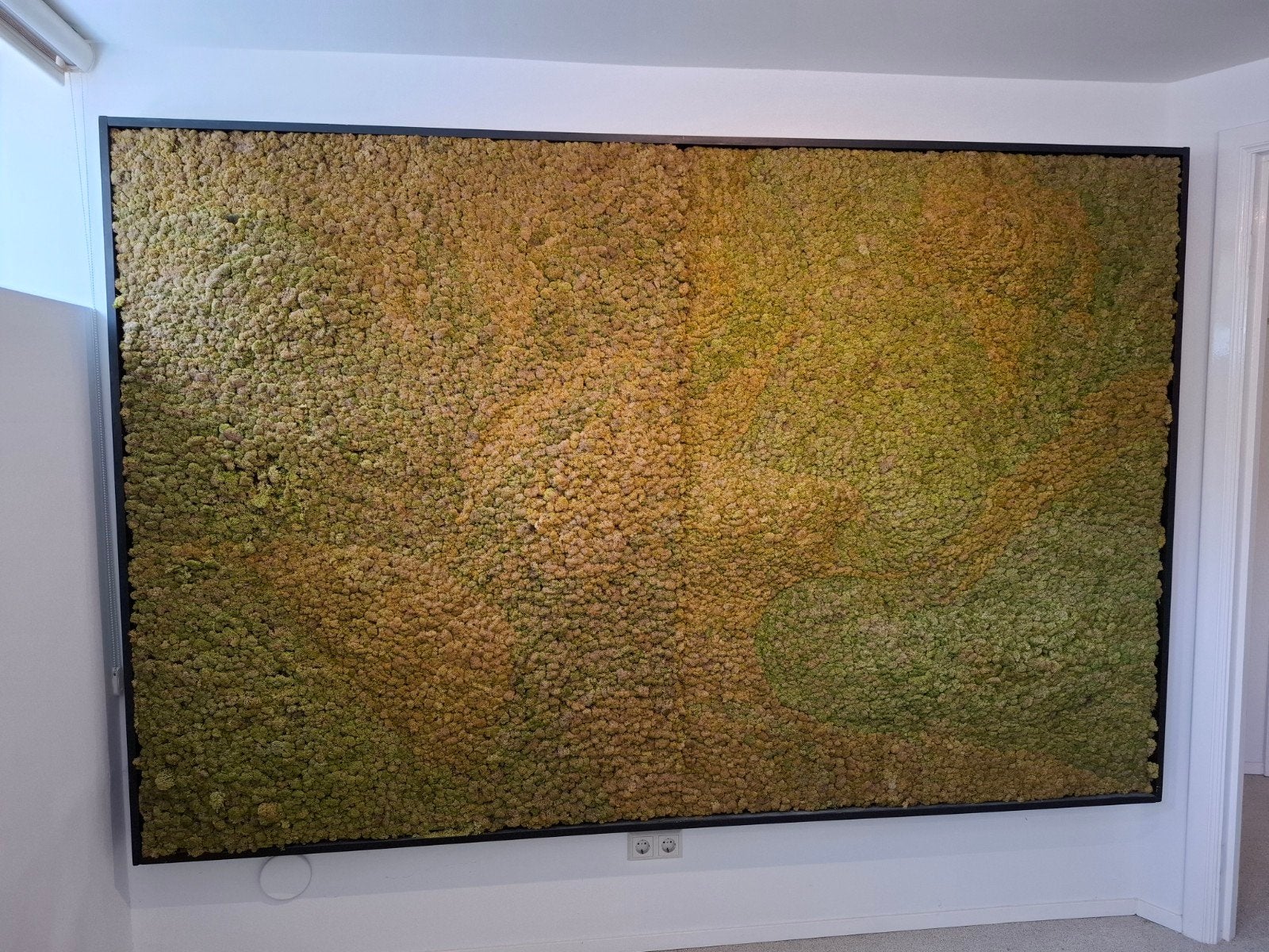 Mosschilderij XL - 260 x 165 Mos kunst, Antiek en Kunst, Ophalen