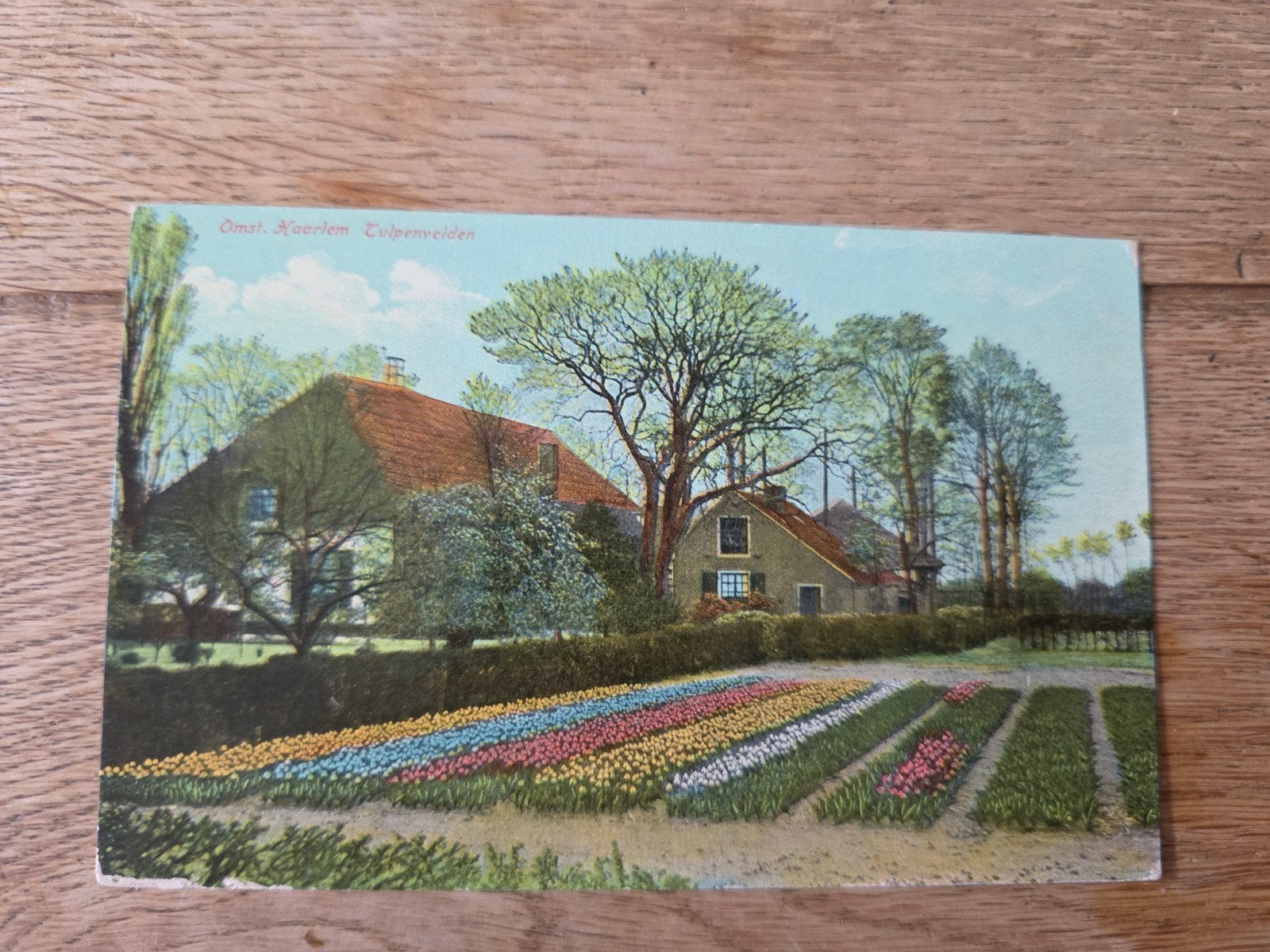 bollenvelden omgeving Haarlem, Ophalen of Verzenden