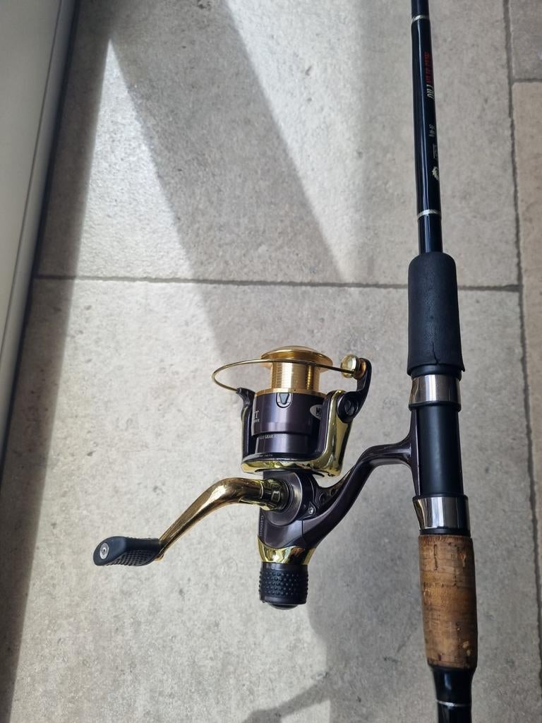 Snoek/karper hengel., Ophalen of Verzenden, Werphengel