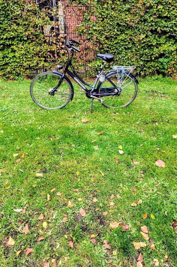 Te koop : Damesfiets BATAVUS Cambridge, Ophalen, 53 tot 56 cm, Versnellingen, Batavus