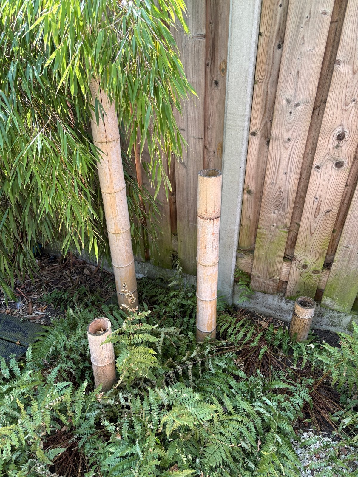 Bamboe palen, Ophalen, 250 cm of meer, Palen