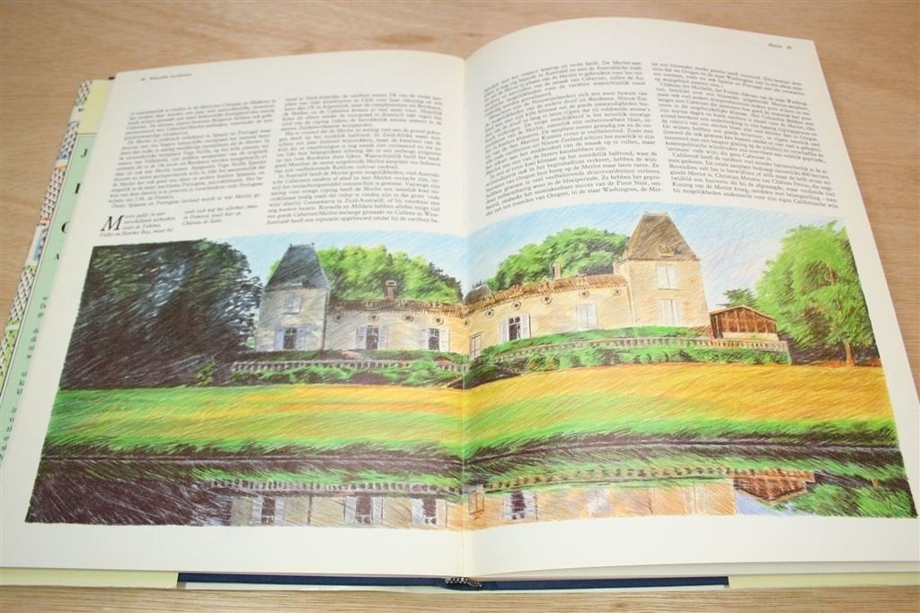 Wijnen Druiven en Wijngaarden — Wereldwijde Druiven Gids, Boeken, Ophalen of Verzenden, Zo goed als nieuw, Italië