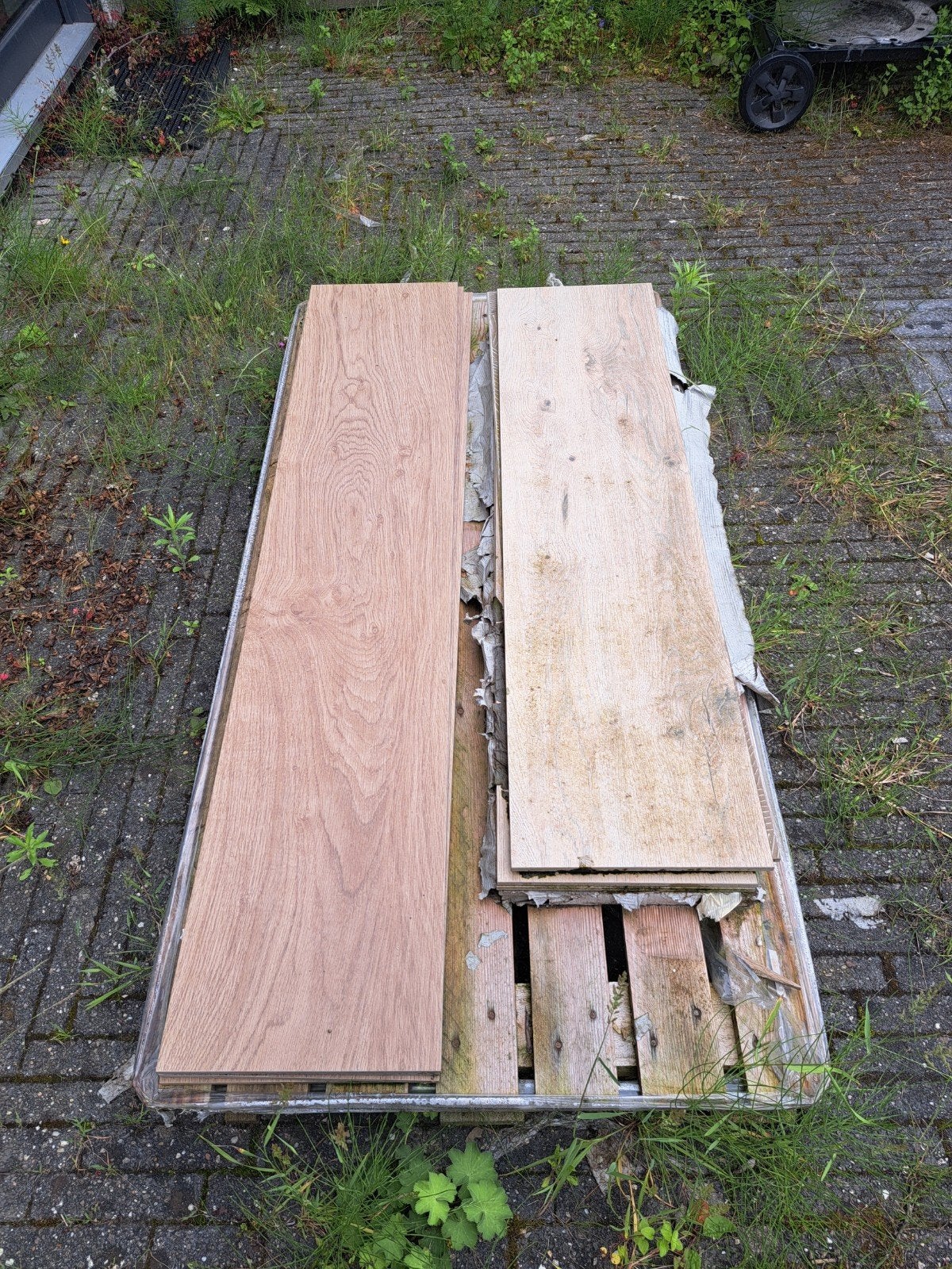 Houtlook tegels - Nieuw, Ophalen, 60 cm of meer, Keramiek, Nieuw