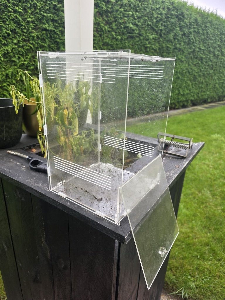 Repto acryl terrarium / insectenverblijf 19x19x28 cm, Ophalen, Zo goed als nieuw, Terrarium of Paludarium